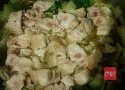 白菜粉条炖五花肉的做法图解5