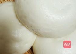 白胖馒头的做法图解3