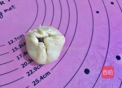 红豆沙酥饼的做法图解22