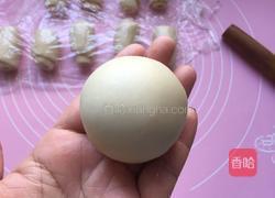蛋黄酥的做法图解24