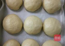红豆馅面包的做法图解9