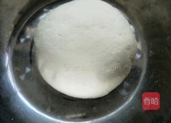 蒸馒头的做法图解6