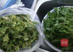 猫耳朵水饺的做法图解2
