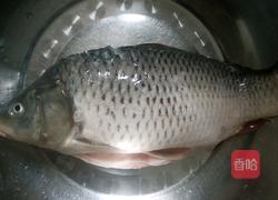 炖鲤鱼的做法图解1