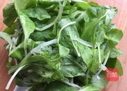 青菜猪肝汤的做法图解5