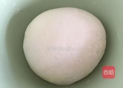 酸菜大包子的做法图解1