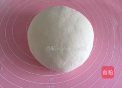 酸菜大包子的做法图解4