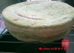 青汁斑马纹蛋糕的做法图解12