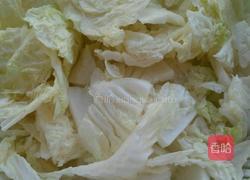 白菜冻豆腐炖粉条的做法图解4
