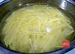 香辣土豆丝的做法图解5