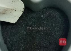奶油奶酪（芝士）蛋糕的做法图解3