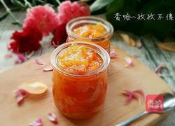 金桔膏的做法图解7