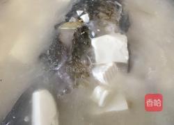 河鲫鱼豆腐汤的做法图解6