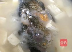 河鲫鱼豆腐汤的做法图解7