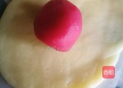 迷你版双色酥的做法图解2