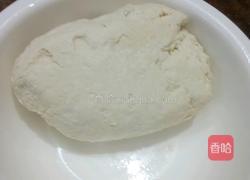 陕西虾仁白菜饺的做法图解4
