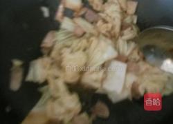 土豆白菜炖肉的做法图解7