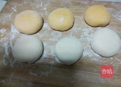双色麻汁卷的做法图解7