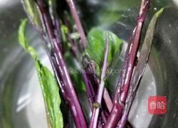 爆炒红油菜苔的做法图解1