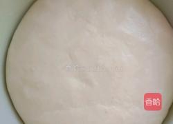 豆沙面包的做法图解5