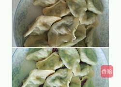 韭菜鸡蛋粉条饺子的做法图解10