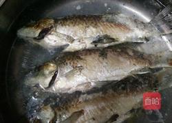 鲫鱼汤的做法图解4