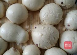 小葫芦馒头的做法图解7