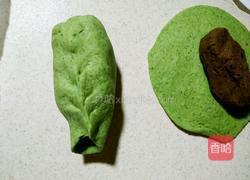 绿叶豆沙包的做法图解13