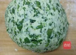 香脆美味菠菜饼的做法图解5
