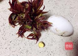 椿芽烘鹅蛋的做法图解2