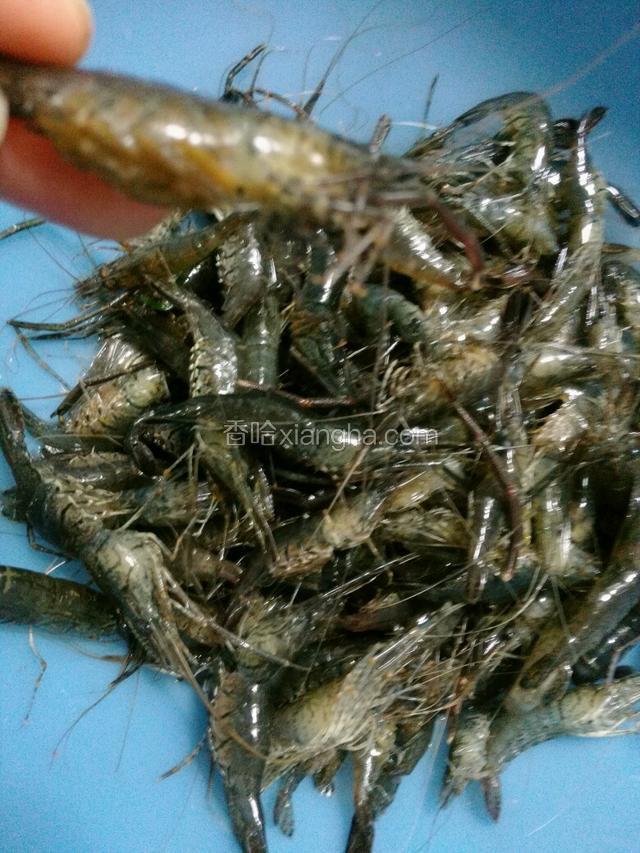 我买的是籽虾，籽虾营养好！蛋白质，磷，钙含量丰富。