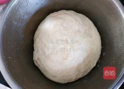 蜂蜜脆底小面包的做法图解3