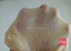 家做甜馒头的做法图解3