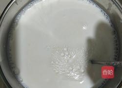 酸奶的做法图解4