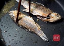 鲫鱼煎蛋的做法图解4