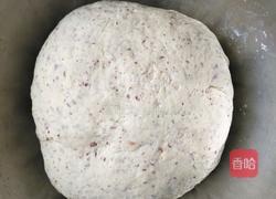 红枣馒头的做法图解7