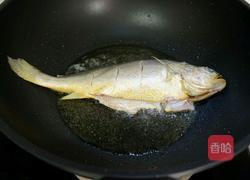 家常烧黄花鱼的做法图解4