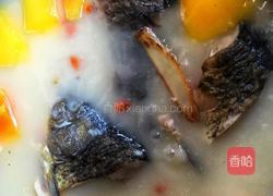 木瓜魚湯的做法图解10