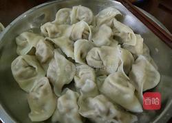 圆白菜馄饨的做法图解4
