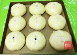 奶香蓝莓餐包的做法图解20