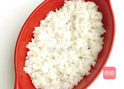 番茄鸡肉芝士煸饭的做法图解15
