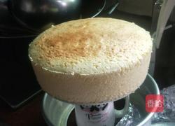 芝士蛋糕的做法图解10