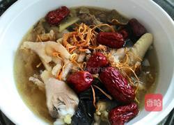 灵芝花胶虫草花炖鸡的做法图解3