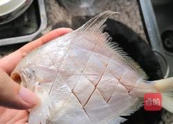 相煎白鲳鱼的做法图解2