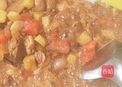 土豆炒鸡肉的做法图解15