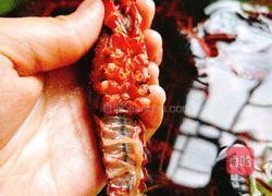 香辣小龙虾的做法图解2