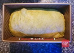 西瓜吐司的做法图解18