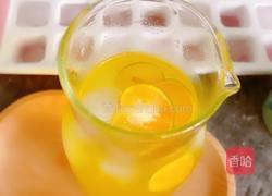 柠檬汁的做法图解4