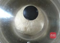 自制鸡蛋面条的做法图解5
