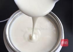 自制酸奶的做法图解11